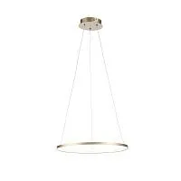 Подвесной светодиодный светильник ST Luce Erto SL904.203.01 