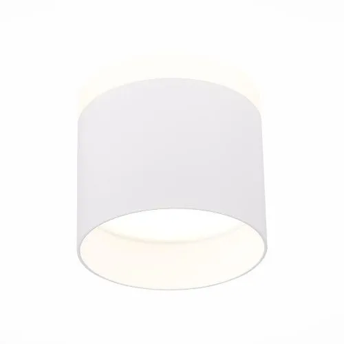 Потолочный светодиодный светильник ST Luce Panaggio ST102.542.12 