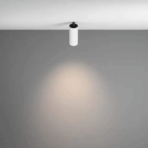 Потолочный светильник Technical C053CL-L12W4K-W-W  фото 4