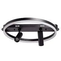 377013303 Драйв 30W+2*5W LED 220 V люстра(пульт) 