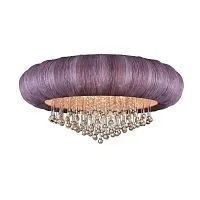 Потолочная люстра ST Luce Preferita SL350.092.12 