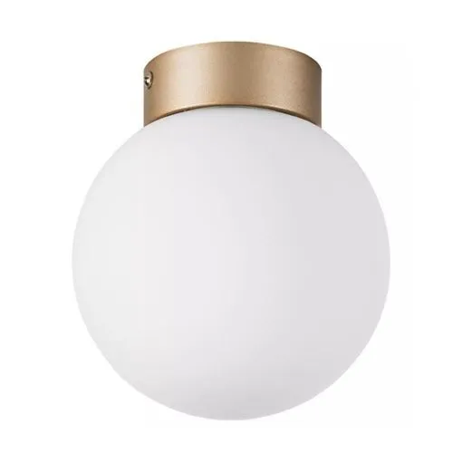 Настенно-потолочный светильник Lightstar Globo 812013 
