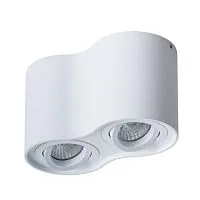 Потолочный светильник Arte Lamp Falcon A5645PL-2WH 