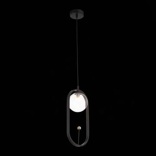 Подвесной светильник ST Luce Circono SL1201.403.01  фото 3