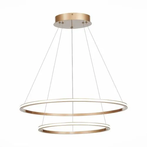Подвесной светодиодный светильник ST Luce ST604.243.56  фото 2