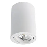 Потолочный светильник Arte Lamp A1560PL-1WH 