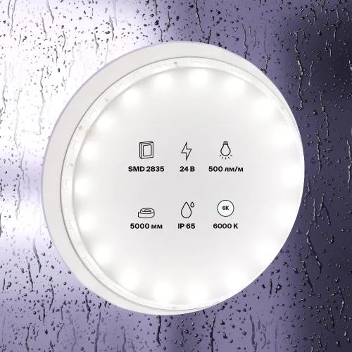 Светодиодная влагозащищенная лента Maytoni Technical 4,8W/m 60LED/m 2835SMD холодный белый 5M 10141  фото 3