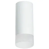 Потолочный светильник Lightstar Rullo (216486+202481) R648681 