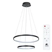Подвесной светодиодный светильник Arte Lamp Frodo A2197SP-2BK 