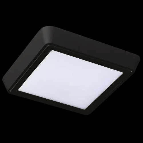 Потолочный светодиодный светильник Lightstar Urbano 216872  фото 2