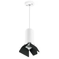 Подвесной светильник Lightstar Rullo (214486+590056+202437) RP486437 
