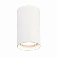 Потолочный светодиодный светильник ST Luce ST157.532.20 