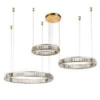 Подвесной светодиодный светильник Divinare Renata 1135/17 SP-106 