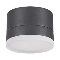 Ландшафтный светодиодный светильник SONEX Kaimas 358084 