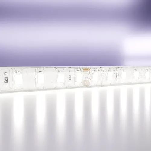 Светодиодная влагозащищенная лента Maytoni Technical 9,6W/m 120LED/m 2835SMD холодный белый 5M 10147  фото 2