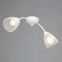 Потолочная люстра Vitaluce V3737-0/2PL 