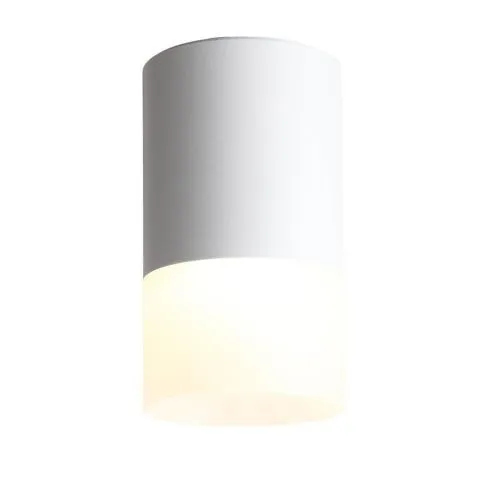 Потолочный светодиодный светильник ST Luce Ottu ST100.542.05 