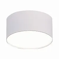 Потолочный светодиодный светильник ST Luce ST606.542.12 