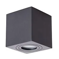 Потолочный светильник Arte Lamp Galopin A1461PL-1BK 