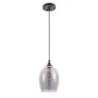 Подвесной светильник Arte Lamp Propus A4344SP-1BK 