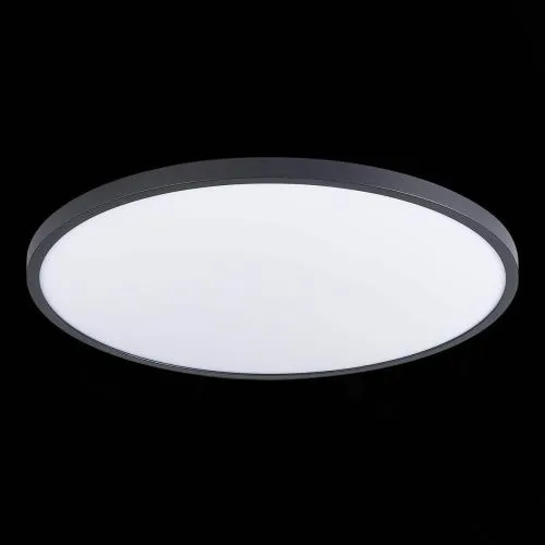 Настенно-потолочный светодиодный светильник ST Luce ST601.442.48  фото 3