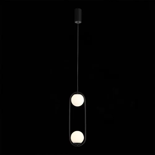 Подвесной светодиодный светильник ST Luce SL395.403.02  фото 4