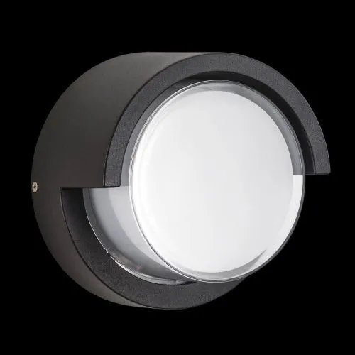 Уличный настенный светодиодный светильник Lightstar Paletto 382173  фото 2