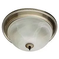 Потолочный светильник Arte Lamp 16 A1305PL-2AB 