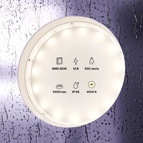 Светодиодная влагозащищенная лента Maytoni Technical 4,8W/m 60LED/m 2835SMD дневной белый 5M 10106  фото 3
