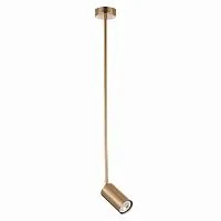 Подвесной светильник ST Luce Sormano SL1206.303.01 