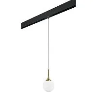 Трековый светильник Lightstar Globo (813013+595007) PRO813013 
