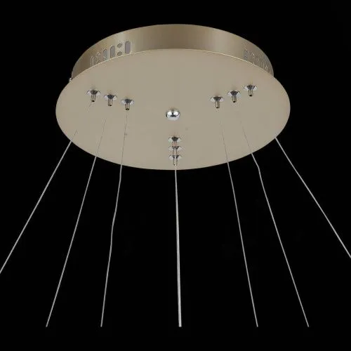 Подвесная светодиодная люстра ST Luce Erto SL904.203.03  фото 5