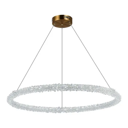 Подвесной светодиодный светильник ST Luce Avana SL6110.223.01  фото 5