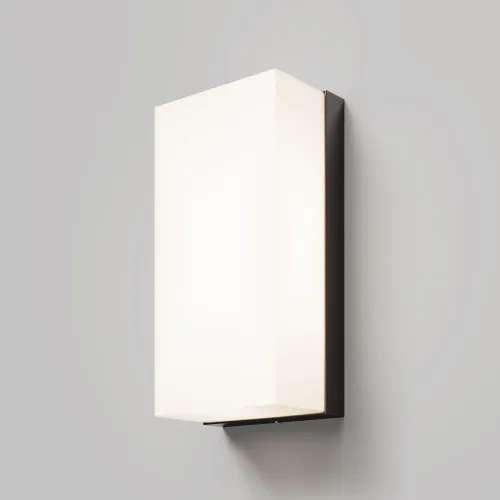 Настенный светильник (бра) Outdoor O454WL-L10GF3K  фото 3