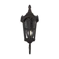 Настенный светильник Maytoni Outdoor O413WL-01BZ1 