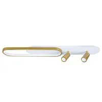 Потолочный светодиодный светильник Arte Lamp Lucas A2600PL-32GO 