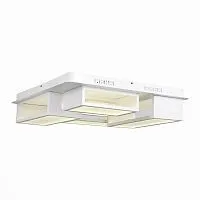 Потолочный светодиодный светильник ST Luce Mecano SL934.502.05 