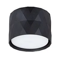 Потолочный светильник Arte Lamp Fang A5552PL-1BK 