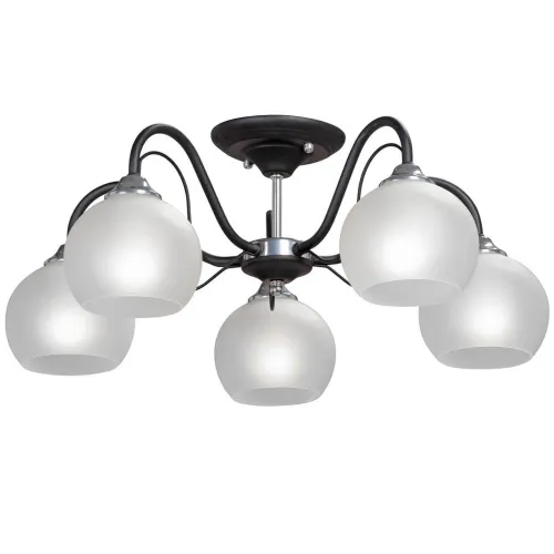 Потолочная люстра Vitaluce V3948-1/5PL 