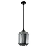Подвесной светильник Arte Lamp Arwen A1902SP-1BK 