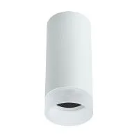 Потолочный светильник Arte Lamp Ogma A5556PL-1WH 