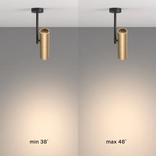 Спот Maytoni Elti C020CL-01GB  фото 7