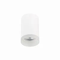 Потолочный светильник ST Luce ST100.502.01 