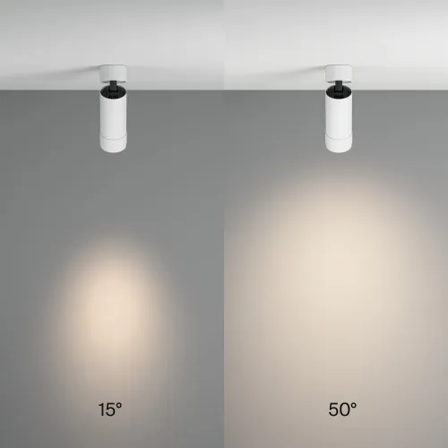 Потолочный светильник Technical C055CL-L12W4K-Z-W  фото 2