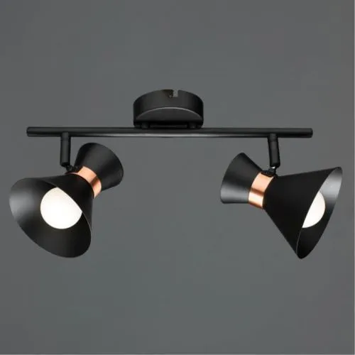Спот Arte Lamp Baltimore A1406AP-2BK  фото 2