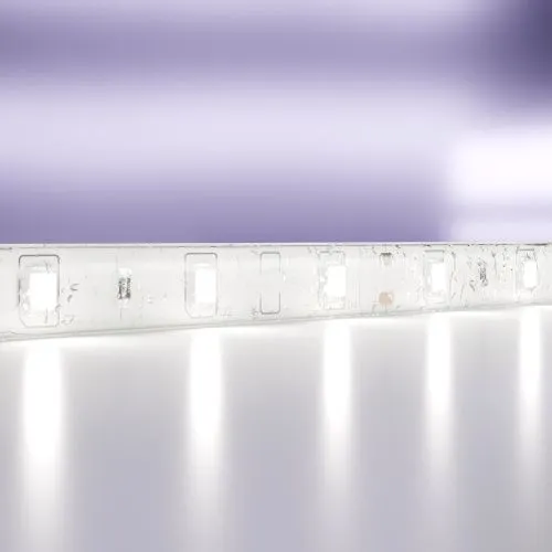 Светодиодная влагозащищенная лента Maytoni Technical 4,8W/m 60LED/m 2835SMD холодный белый 5M 10107  фото 2