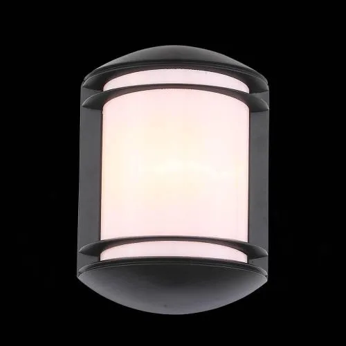 Уличный настенный светильник ST Luce Agio SL076.401.01  фото 2