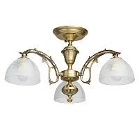 Потолочная люстра MW-Light Ариадна 450011503 