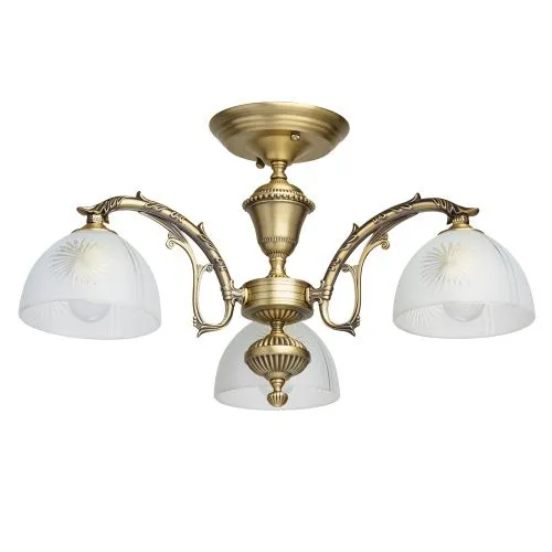 Потолочная люстра MW-Light Ариадна 450011503 
