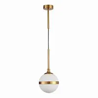 Подвесной светильник ST Luce Arbe SL1157.303.01 